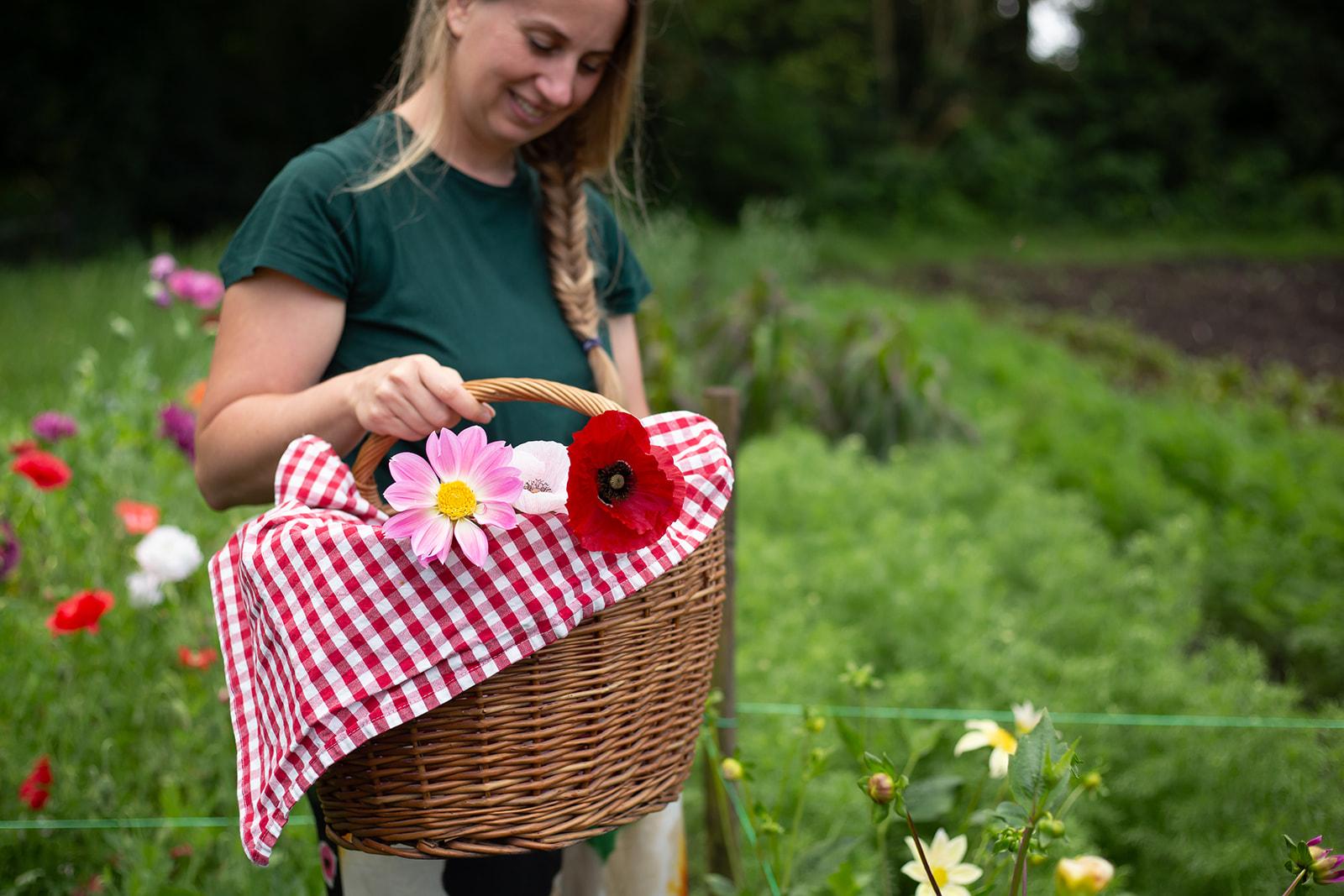 De Wildplukkende Bourgondier