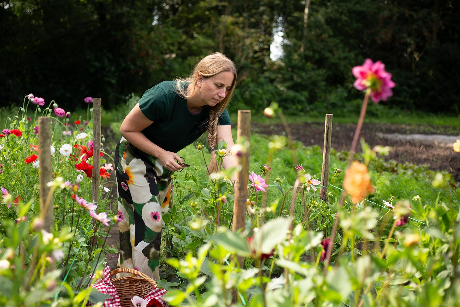 De Wildplukkende Bourgondier